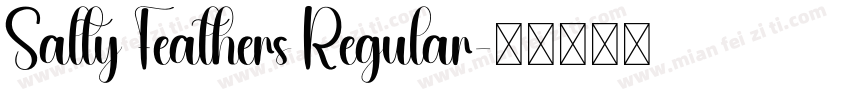 Salty Feathers Regular字体转换